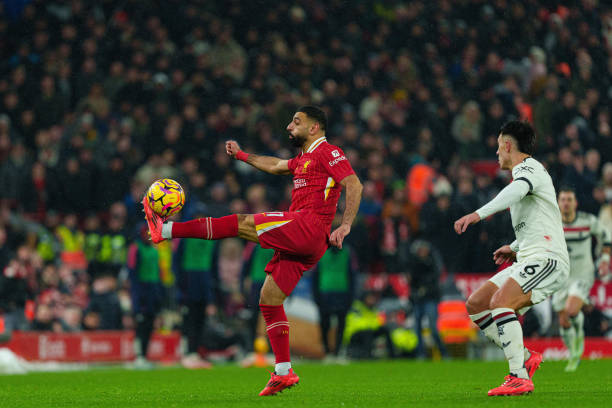 够与现任教 够与现任教